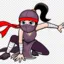 user profile picture NinjaGirl